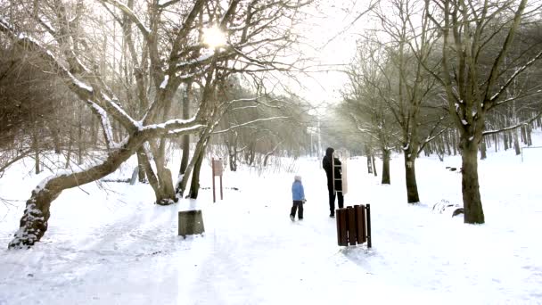 Ayah dan Anak Berjalan dengan Kereta luncur melalui Snowy Park — Stok Video