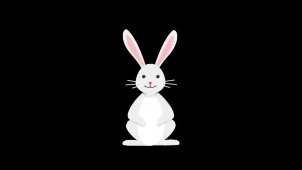 Hermoso lindo y feliz conejo de Pascua, saltando canal alfa conejo — Vídeo de stock
