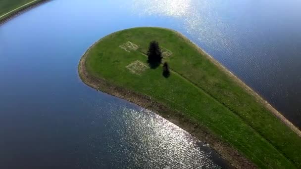 Hermosa vista aérea del árbol en la isla, paralaje movimiento — Vídeos de Stock