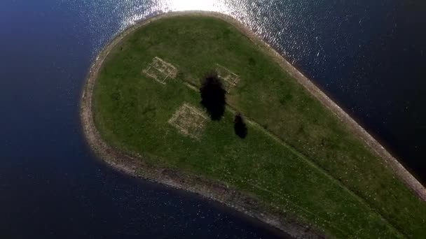 Hermosa vista aérea del árbol en la isla, levántate movimiento — Vídeo de stock