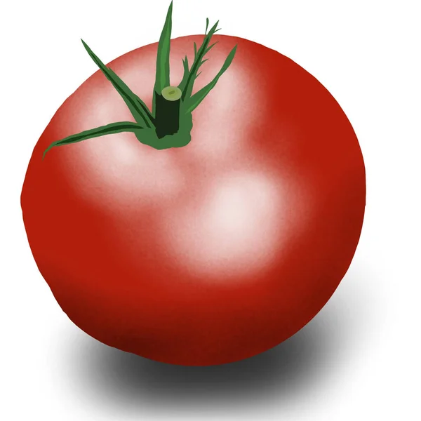 Illustration Sur Tomate Rouge Isolée Sur Fond Blanc — Photo