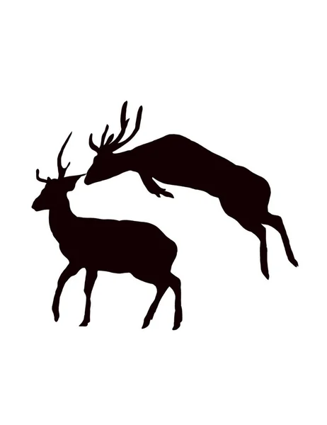 イラスト2匹の鹿のセットのシルエットが白いバに孤立 — ストック写真