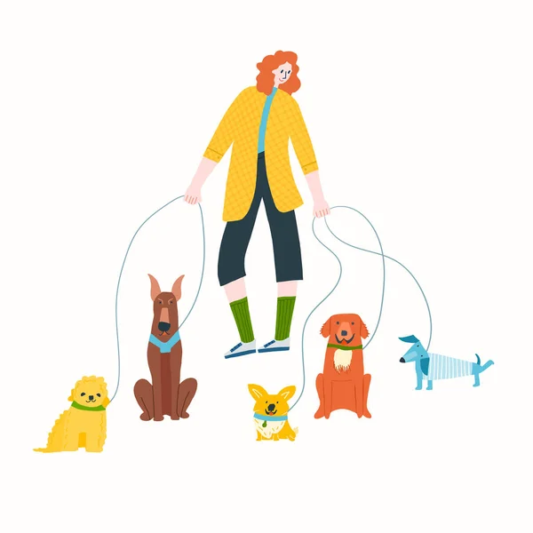 Dog walker voluntariado serviços cão raças vetor ilustração — Vetor de Stock