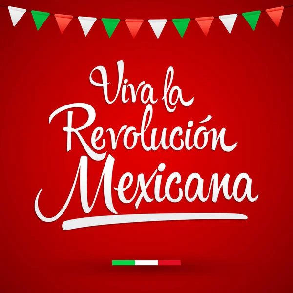 Viva Revolucion Mexicana Vive Révolution Mexicaine Texte Espagnol Fêtes Traditionnelles — Image vectorielle