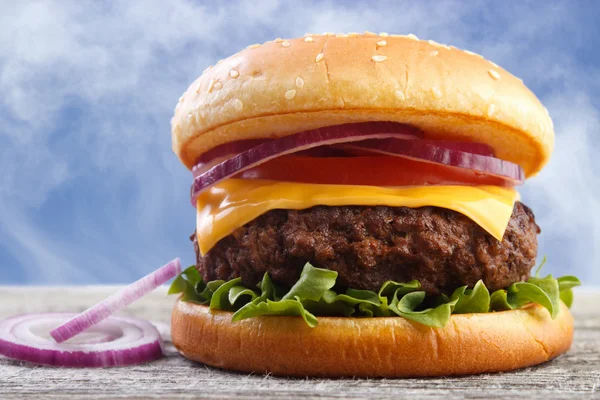 Hamburger met uien — Stockfoto