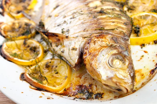 Oven cooked fish — Stock Photo, Image