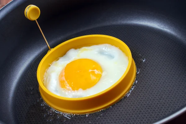 Silicone egg form — Stock Photo, Image