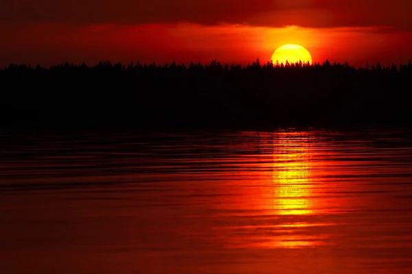 Rising sun behind trees — Stock Photo, Image