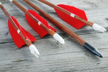 Wooden archery arrows with plastic nocks clipart