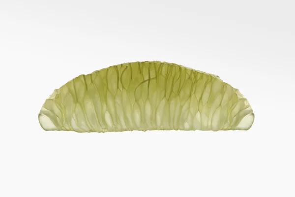 Peeled lime on white gradient background. — Stock Photo, Image