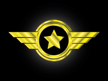 Altın amblem - pilot gece rozetleri rütbe kanatları ve yıldız ile
