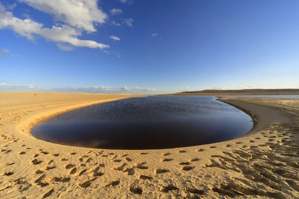 Lago Fayoum Fotos De Stock Sin Royalties Gratis