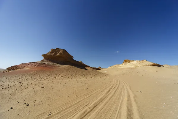 Huellas de neumáticos en el desierto Imágenes De Stock Sin Royalties Gratis