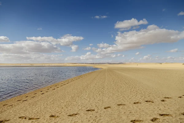 Fayoum sjö — Stockfoto