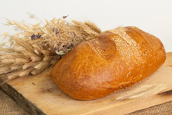 sersem susam ve spikelets buğday