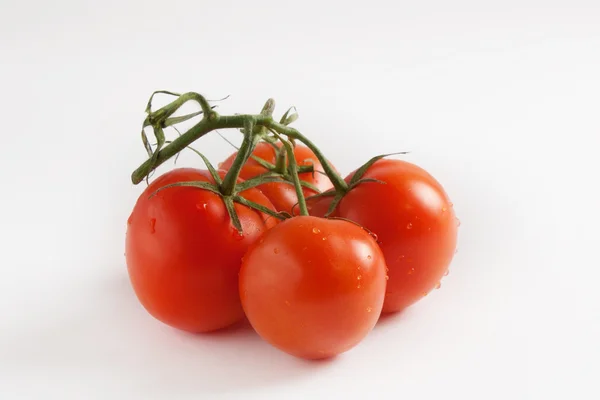 Beyaz bir arka plan dalında domates closeup