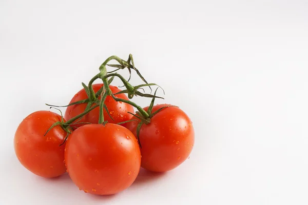 Beyaz bir arka plan dalında domates closeup