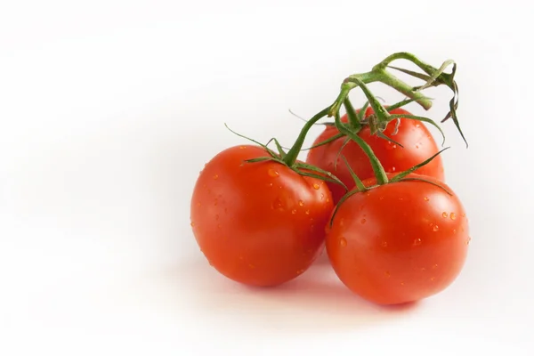 Beyaz bir arka plan dalında domates closeup