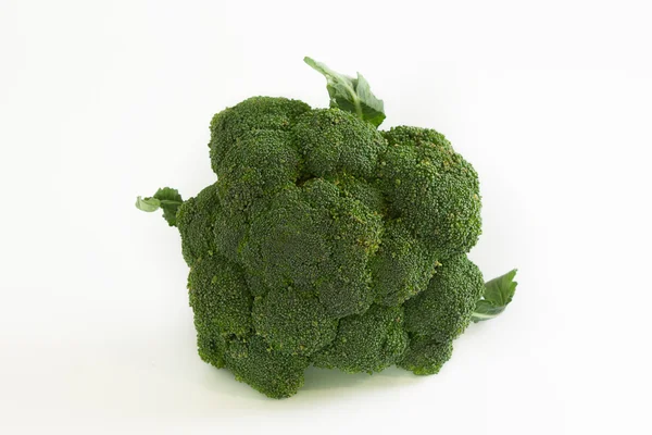 Brokoli beyaz arkaplanda izole edildi