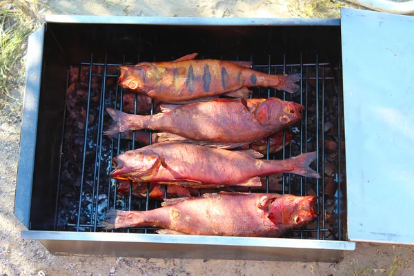 Pescado ahumado — Foto de Stock