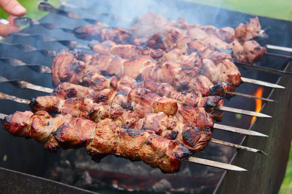 Viande de barbecue sur brochettes — Photo