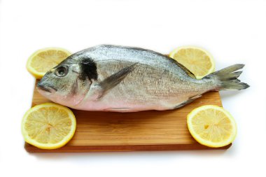 Gilthead on wooden board