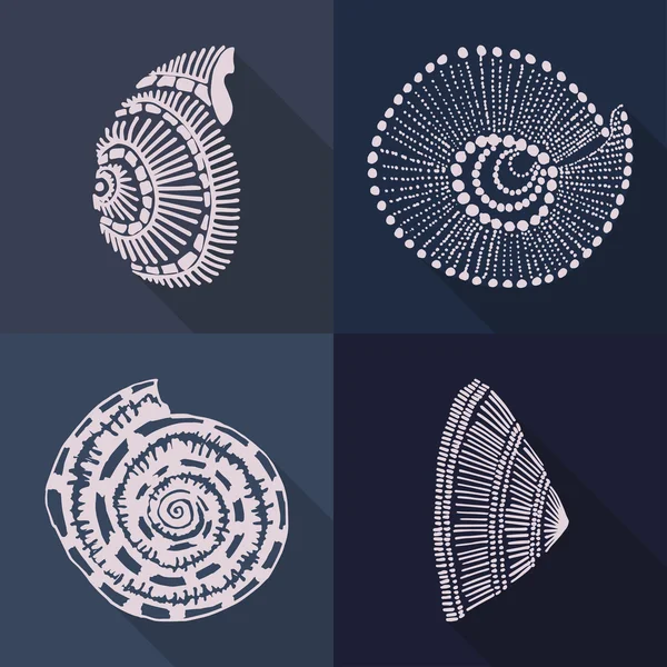 Coquille — Image vectorielle