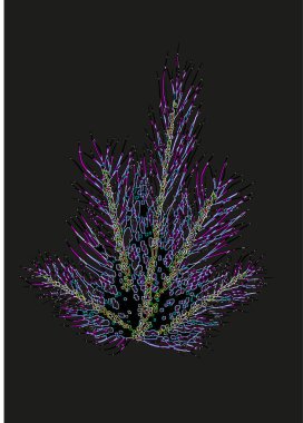 Web sitelerinin, partilerin, selamlamaların, davetiyelerin, giyim tasarımlarının tasarımı için dal ladin 'in soyut görüntüsü.