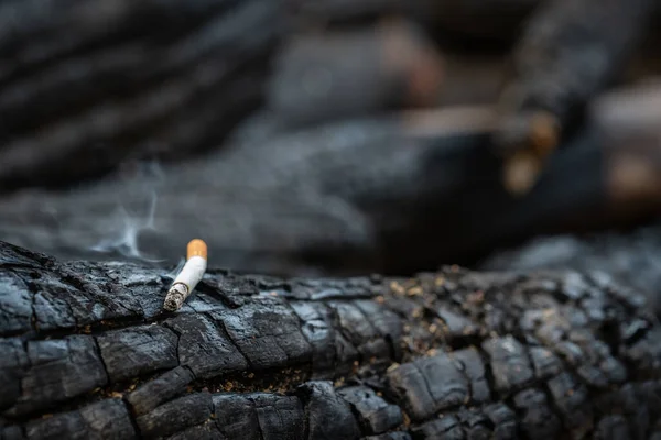 Acercamiento Cigarrillo Ardiente Que Yace Sobre Superficie Negra Tocón Árbol —  Fotos de Stock