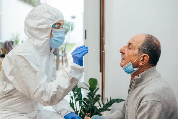 Health Professional in PPE suit and face shield introducing a nasal swab to a senior adult patient at his house. Rapid Antigen Test kit to analyze nasal culture sampling while coronavirus Pandemic.