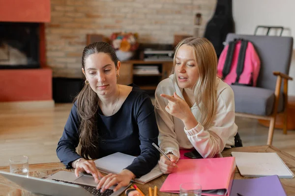Evde dizüstü bilgisayarları, defterleri ve dosyalarıyla birlikte çalışan iki genç öğrenci. İşbirliği, takım çalışması, eğitim ve öğrenme kavramları. Kapalı, yatay.