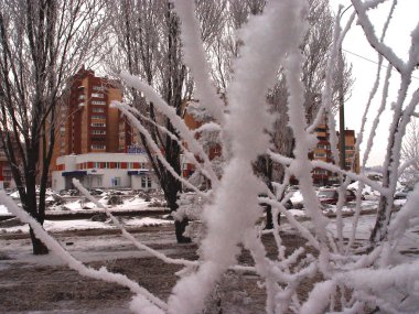 Şehir avlusunda ağaçlar kırağı kaplamıştı.