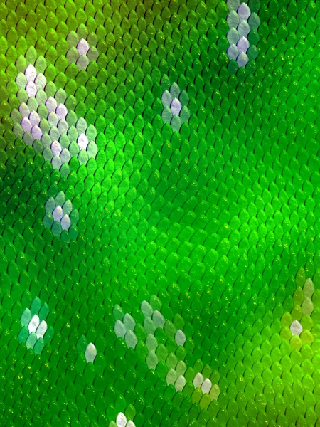 Snakeskin pattern — Stock Photo, Image