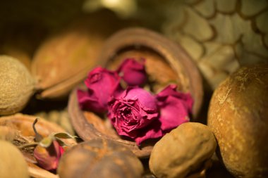 Kuru çiçekler ve yapraklar