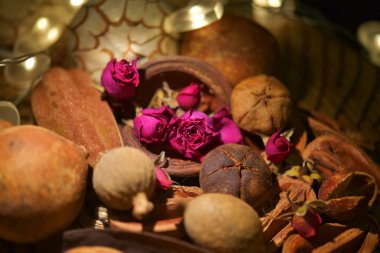 Kuru çiçekler ve yapraklar