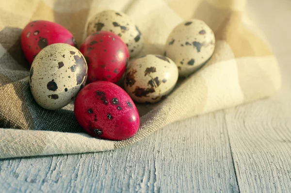 Uova di quaglia di Pasqua — Foto Stock