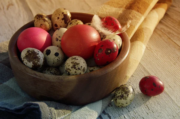 Codorna de Páscoa e ovos — Fotografia de Stock