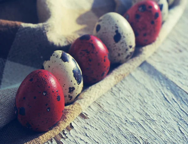 Easter quail eggs — Stock Photo, Image