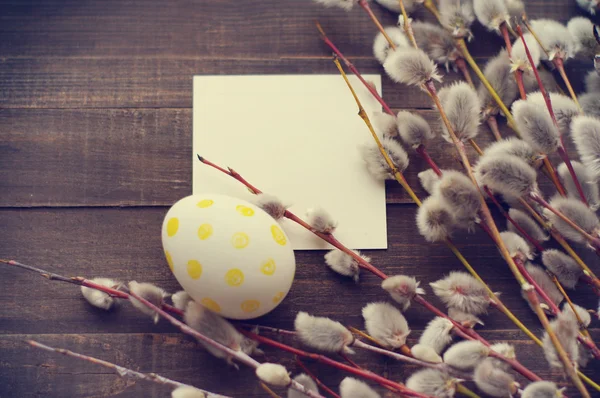 Easter eggs with spring branches of a willow — Stock Photo, Image