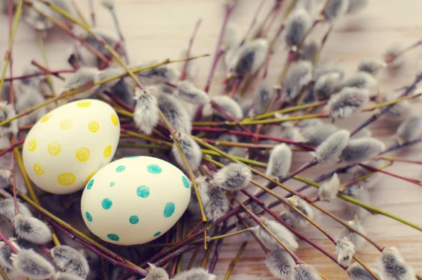 Easter eggs with spring branches of a willow — Stock Photo, Image