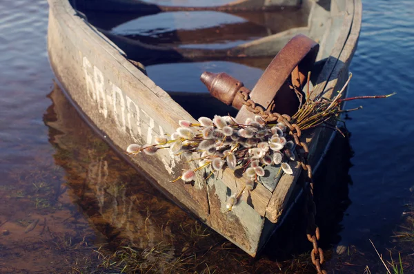 Vieux bateau en bois sur la rivière avec un bouquet de branches de printemps d'un saule — Photo