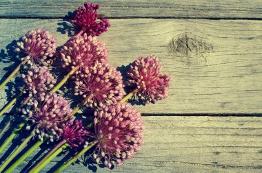 Çiçek antika arka plan çiçekler yabani soğan ile