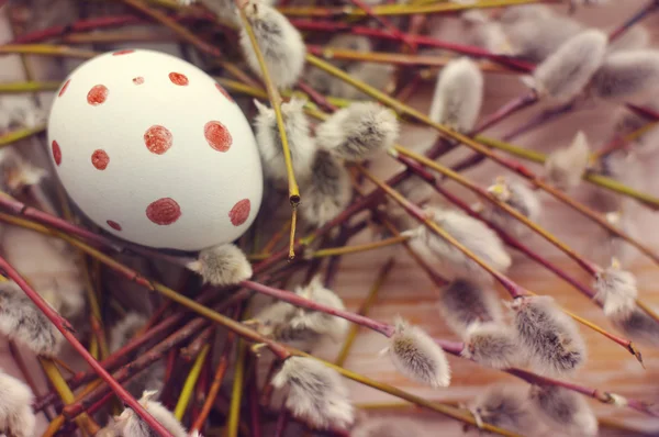 Easter egg with spring branches of a willow — Stock Photo, Image