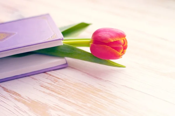 Buch und eine rosa Tulpe auf einem hölzernen Hintergrund. — Stockfoto