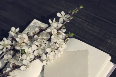 Kitap, kayısı çiçek şube ve boş eski fotoğraf  