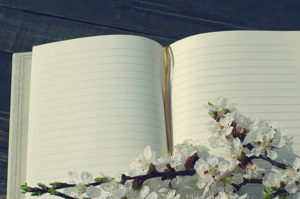 Apri taccuino con pagine vuote e ramo di albicocca in fiore — Foto Stock