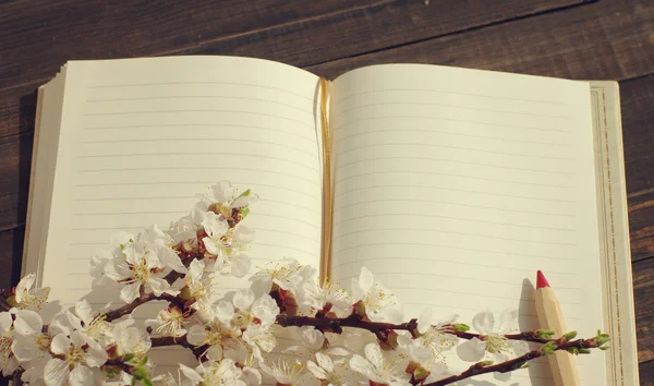 Açık defter ile boş sayfaları ve kayısı çiçek şube