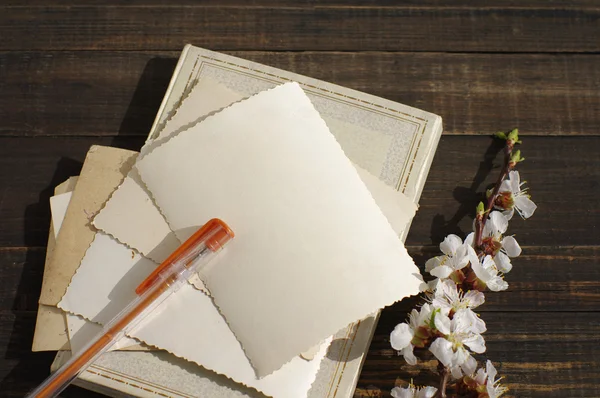 Book, blossoming apricot branch and empty old photo — Stock Photo, Image