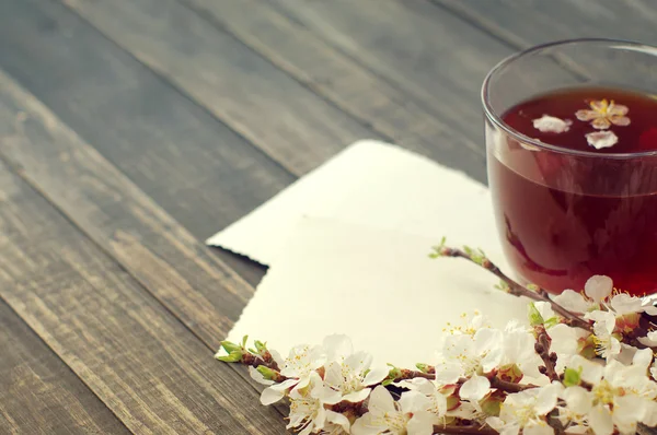 Xícara de chá, foto velha vazia e ramo de damasco florescente — Fotografia de Stock