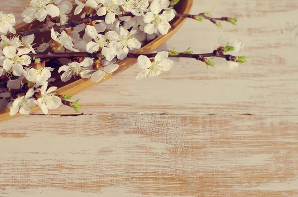 Spring flowering branch  on wooden background. — Stock Photo, Image